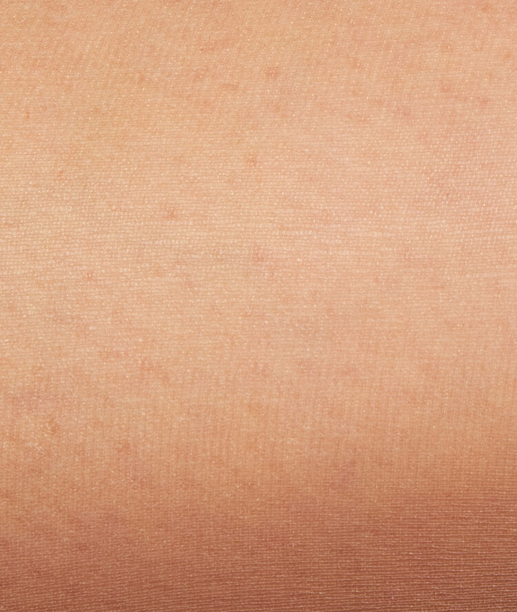 Sheer, shaping tights, 5d bronze.