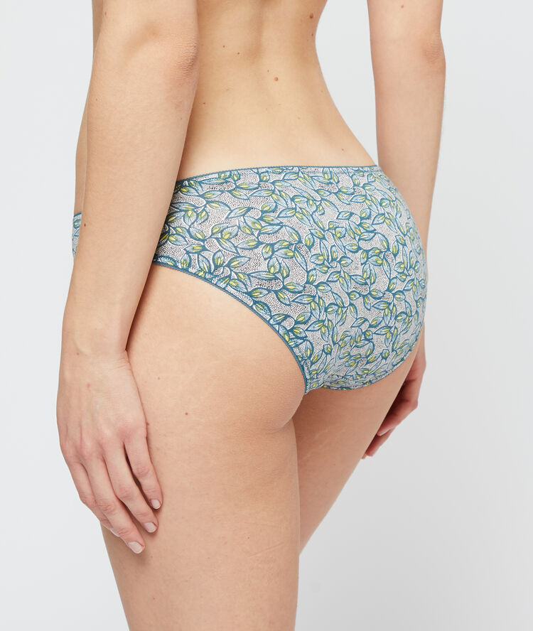 Pack of 4 briefs anise.