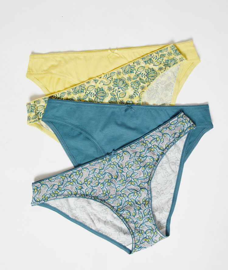 Pack of 4 briefs anise.