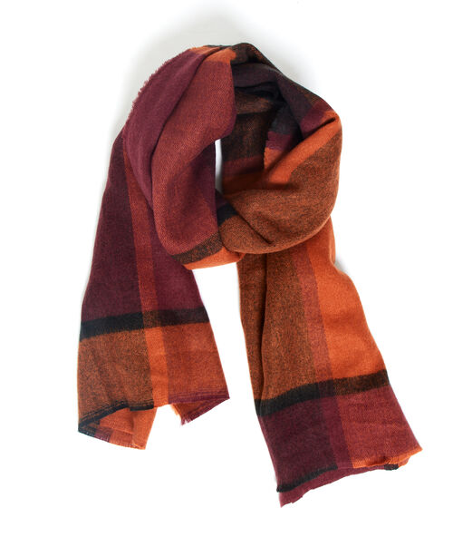 Plaid in check spice.