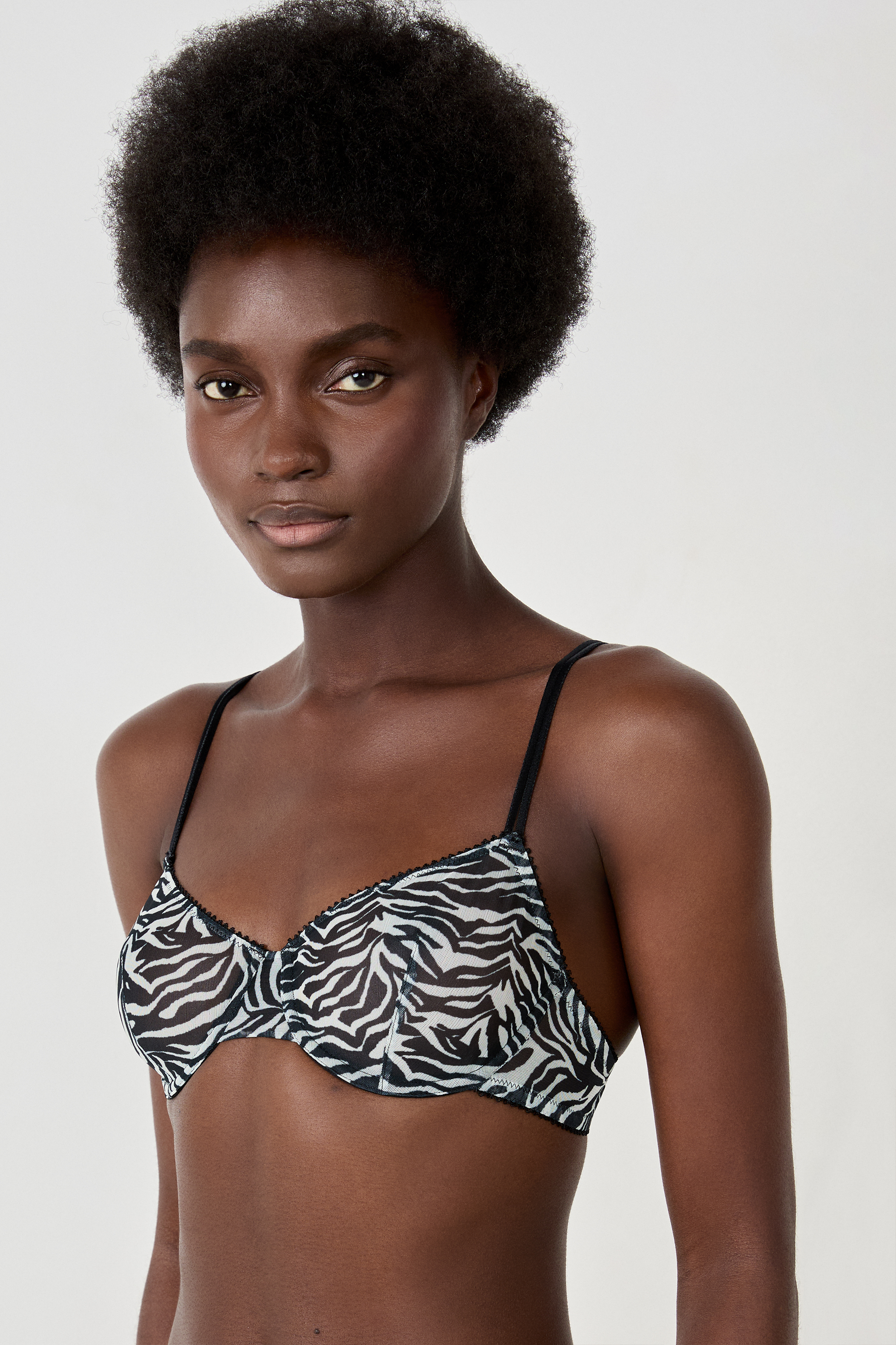 【 crinkle griguri 】border monster bra Classic zebra tulle bra - PELAGE - IMP FD ECRU - ETAM
