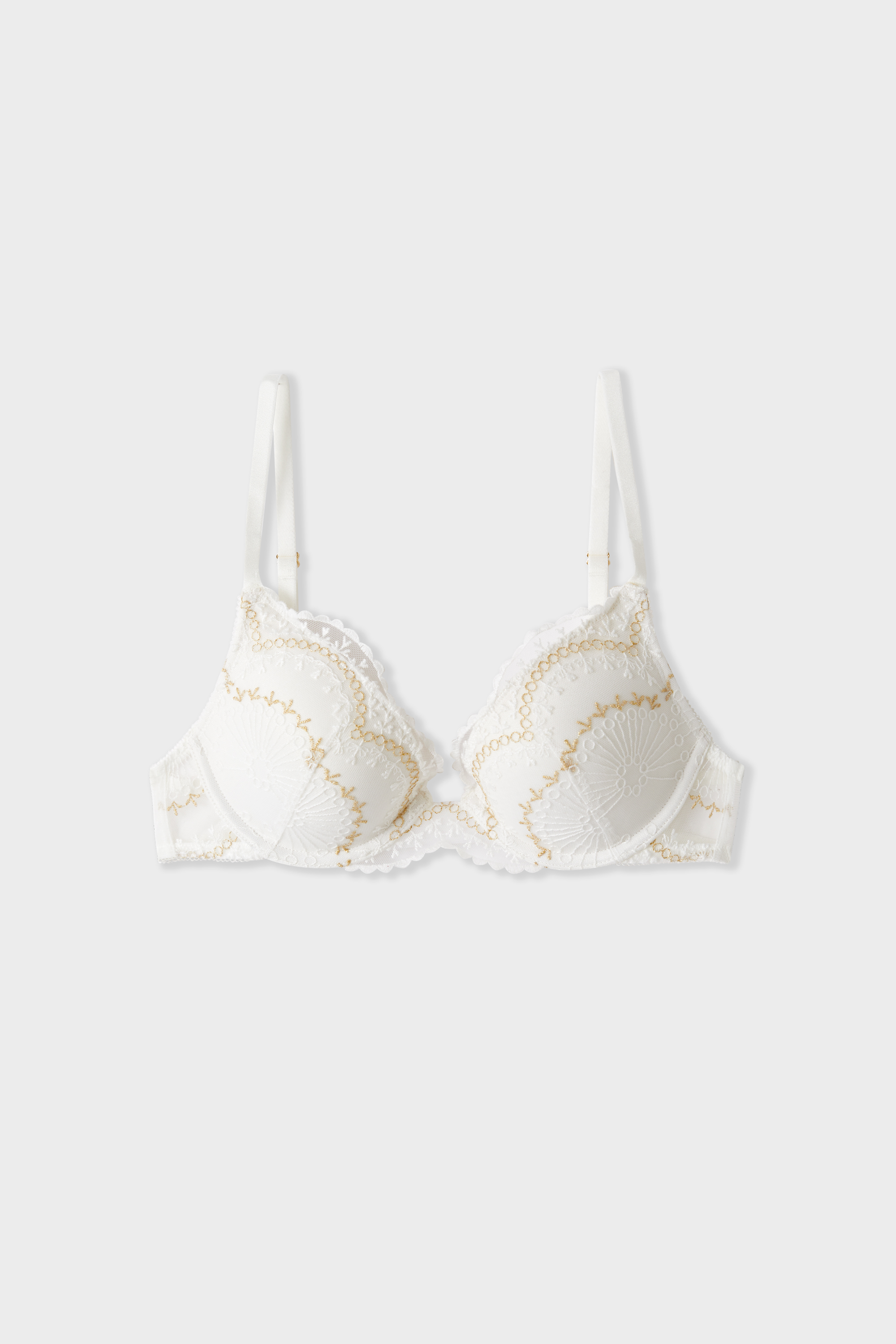 Bra N.2 - The Plunge Push-up Bra with Iridescent Embroidery Effect